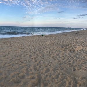 Meet your Posher, Ferdinand